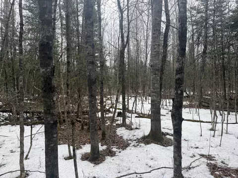 tbd Three Bridges Rd, Cook, MN 55723 photo 34
