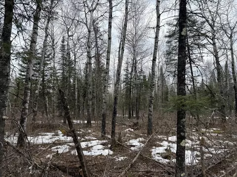 tbd Three Bridges Rd, Cook, MN 55723 photo 40