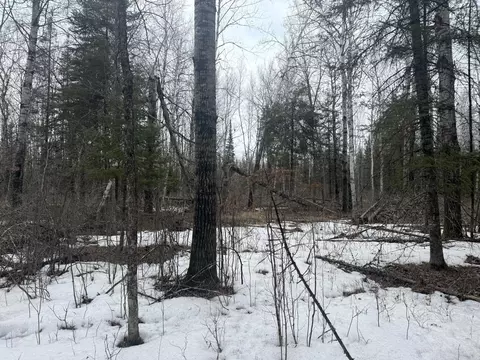tbd Three Bridges Rd, Cook, MN 55723 photo 36