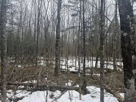 tbd Three Bridges Rd, Cook, MN 55723 photo 32