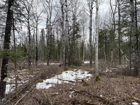 tbd Three Bridges Rd, Cook, MN 55723 photo 39