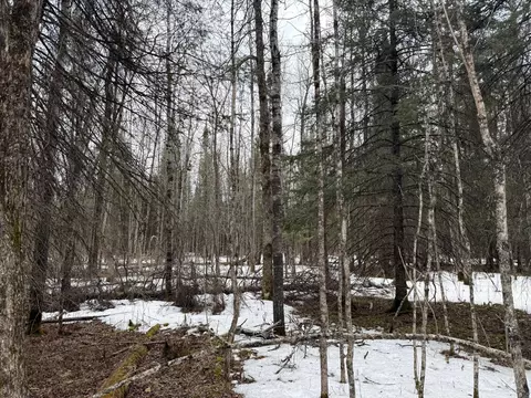 tbd Three Bridges Rd, Cook, MN 55723 photo 41