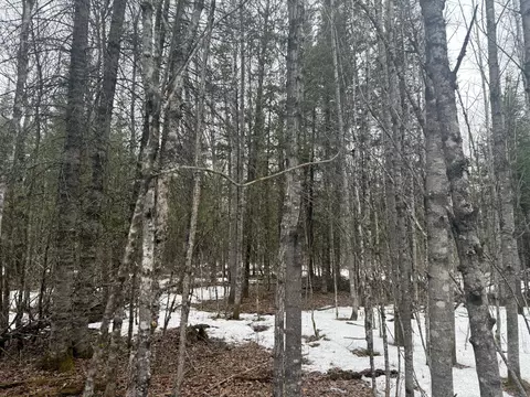 tbd Three Bridges Rd, Cook, MN 55723 photo 35
