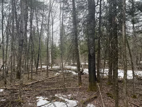 tbd Three Bridges Rd, Cook, MN 55723 photo 37