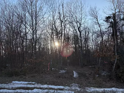 tbd Pincherry NE, Bemidji, MN 56601