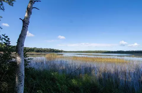 tbd Deacons Way, Pequot Lakes, MN 56472