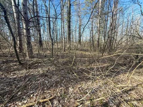tbd 603 St, Mazeppa, MN 55956 photo 27