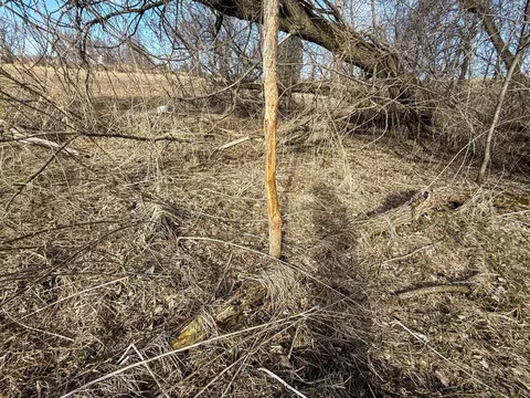 tbd 603 St, Mazeppa, MN 55956 photo 21