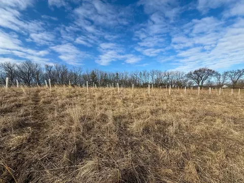 tbd 603 St, Mazeppa, MN 55956 photo 15