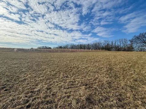 tbd 603 St, Mazeppa, MN 55956 photo 17