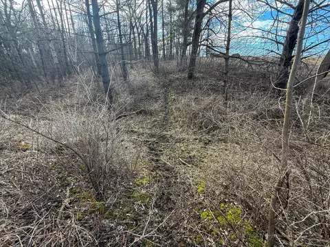 tbd 603 St, Mazeppa, MN 55956 photo 23