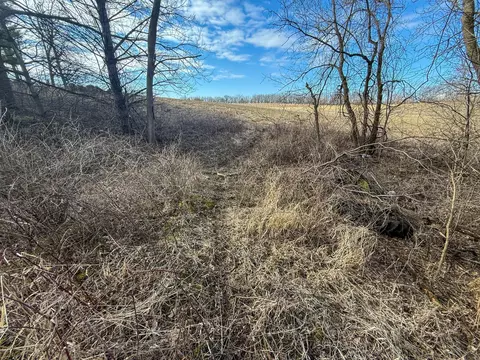 tbd 603 St, Mazeppa, MN 55956 photo 22