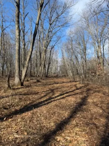 tbd Woodchuck Trl, Cushing, MN 56443