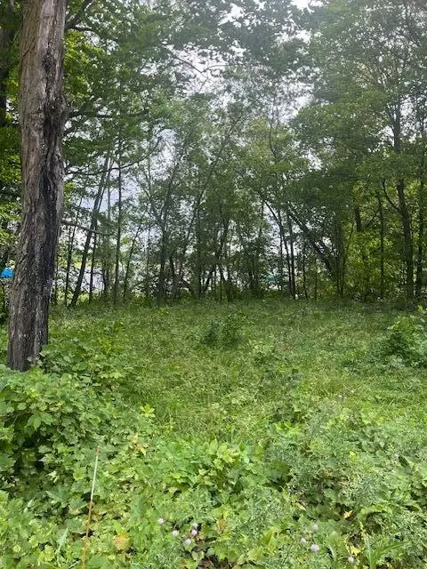 51440 Long Point Pl, Mcgregor, MN 55760 photo 3