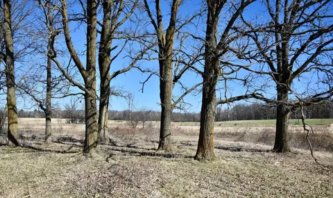 19 Nnn 150th Ave, Milaca, MN 56353 photo 19