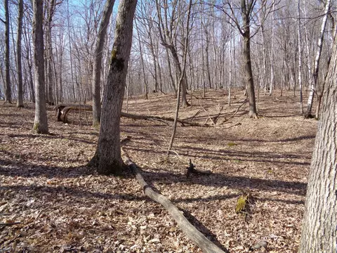 2115 210th St, Eureka Twp, WI 54824