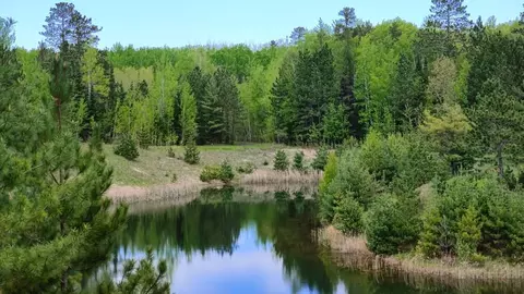 80064 Osprey Pass, Tower, MN 55790 photo 5