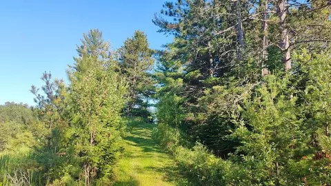 80064 Osprey Pass, Tower, MN 55790 photo 32