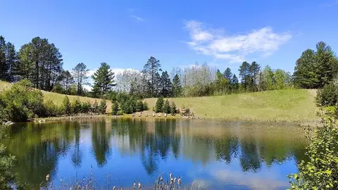 80064 Osprey Pass, Tower, MN 55790 photo 17