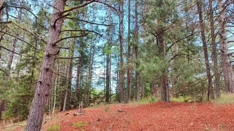 80064 Osprey Pass, Tower, MN 55790 photo 13