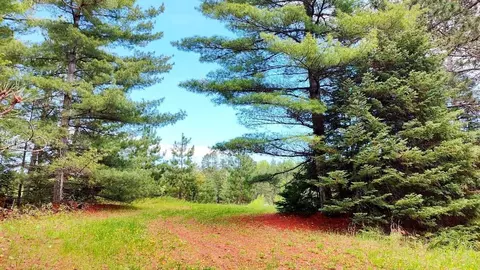 80064 Osprey Pass, Tower, MN 55790 photo 8