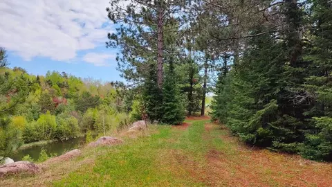 80064 Osprey Pass, Tower, MN 55790 photo 3