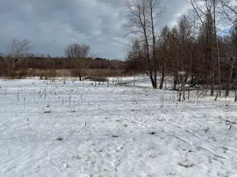 lot13 Irvine Ave NW, Bemidji, MN 56601