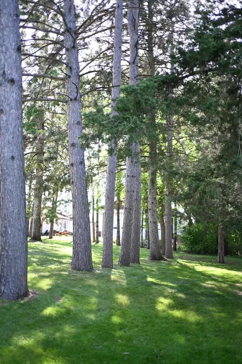 Other - 111 Elm Ave, Upsala, MN 56384 photo 4 of 11