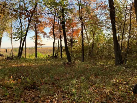 tbd Grouse Loop NW, Walker, MN 56484 photo 4