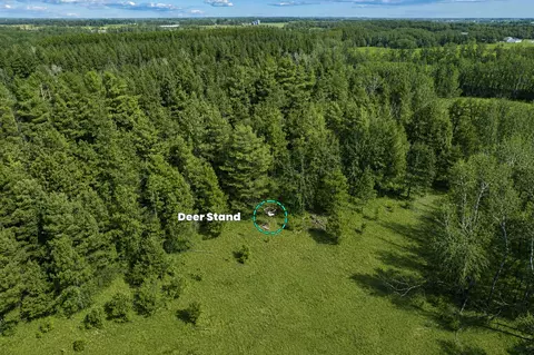 000 University Ave, Isanti, MN 55040