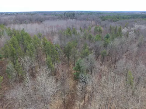 9274 Black Brook Rd, Webster, WI 54893 photo 20
