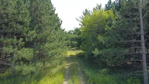 49928 County Highway 54, New York Mills, MN 56567
