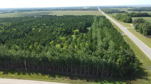 49928 County Highway 54, New York Mills, MN 56567
