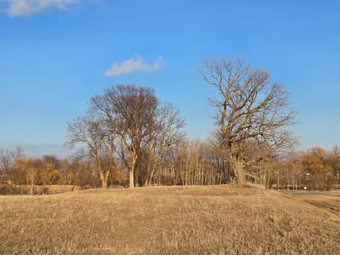 lot8 Branch Creek Rd, Detroit Lakes, MN 56501