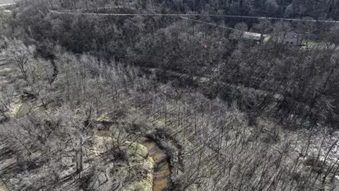 5452 Oak Forest Ln, Houston, MN 55943