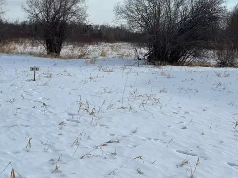 lot11 Irvine Ave NW, Bemidji, MN 56601