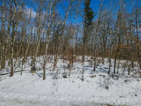 tbd Evergreen Dr, Nevis, MN 56467 photo 4