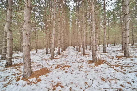 tbd Sleepy Hollow Rd, Brainerd, MN 56449