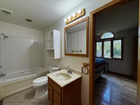 Bath - 38700 Osprey Trl, Laporte, MN 56461 photo 3 of 4