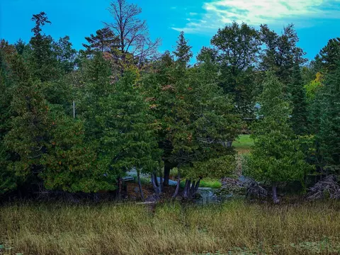 View/Area - 38700 Osprey Trl, Laporte, MN 56461 photo 5 of 20
