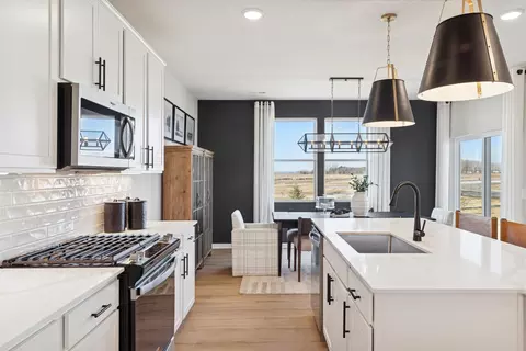 15026 Askeaton Pl, Rosemount, MN 55068