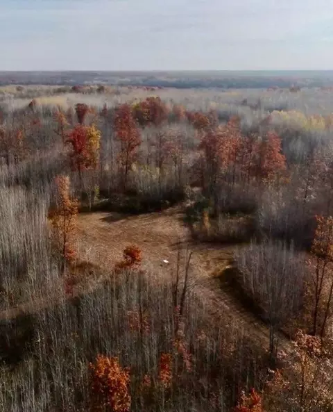 64997 Rutabaga Rd, Sandstone, MN 55072