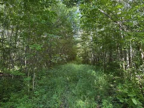 40 Bridgie Rd # A, Northome, MN 56661