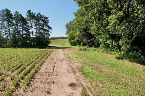 40 Acres 87th St, Becker, MN 55308 photo 9