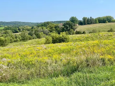 Other - tbd C County 8, Spring Grove, MN 55954 photo 11 of 20