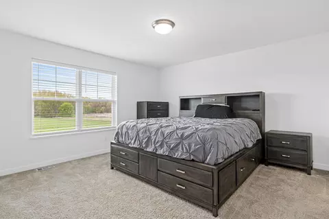 Bedroom - 23349 124th Ave, Rogers, MN 55374 photo 3 of 5