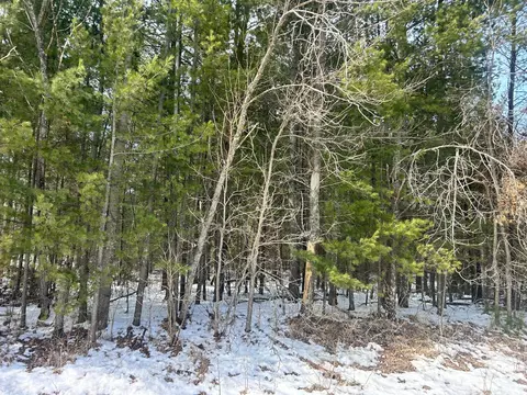 tbd County Road 1, Pine River, MN 56474 photo 3
