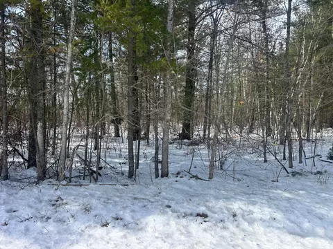 tbd County Road 1, Pine River, MN 56474