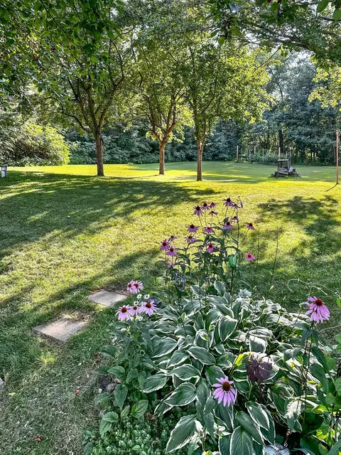 Exterior - 7884 Lakeview Dr, Brainerd, MN 56401 photo 12 of 13