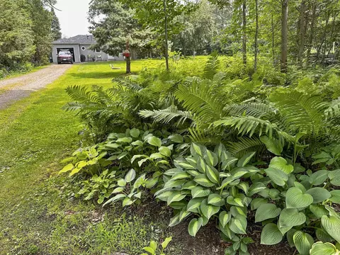 Exterior - 7884 Lakeview Dr, Brainerd, MN 56401 photo 13 of 13
